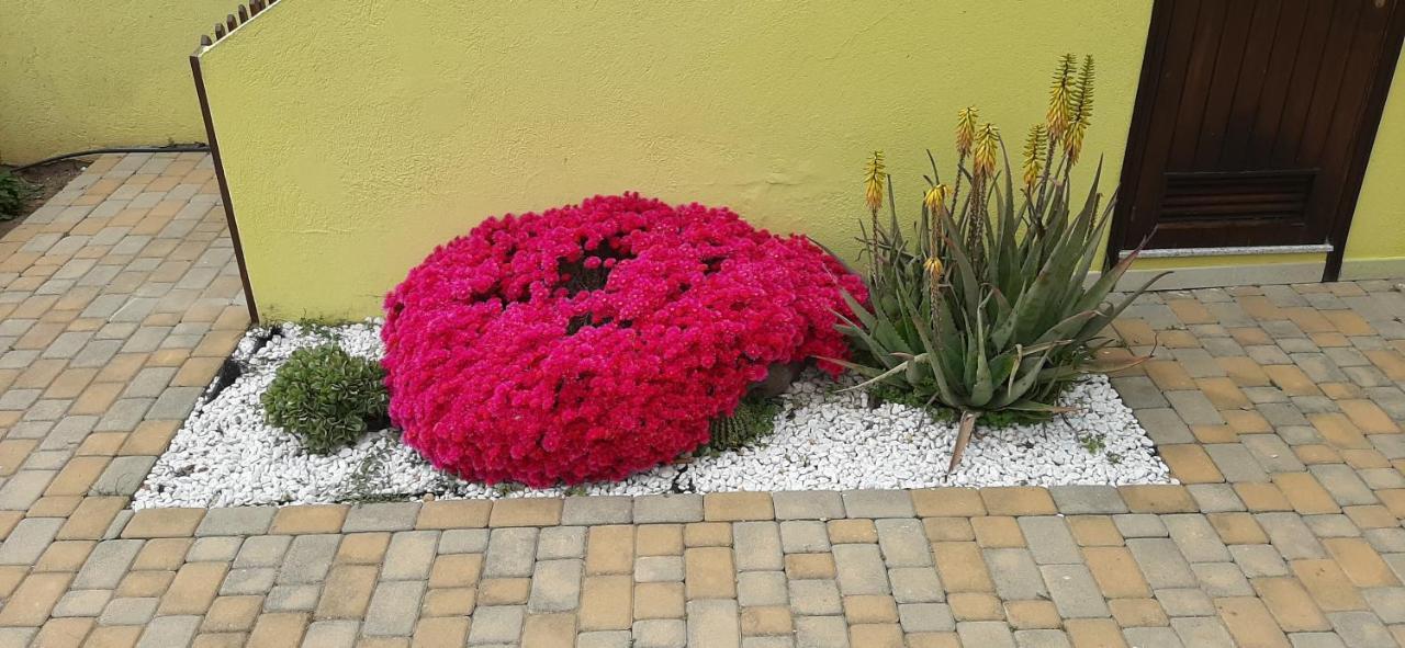 Nonna Defenza Apartment Teulada Ngoại thất bức ảnh